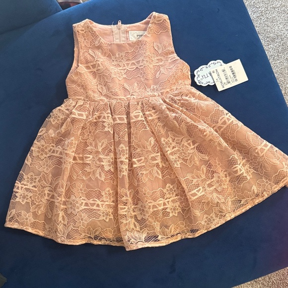 Popatu Lace Dusty Rose Toddler Formal Dress - Picture 1 of 3